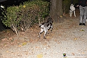 VBS_6405 - Inaugurazione Stagione 2022-23 Simulazione Ricerca Tartufo